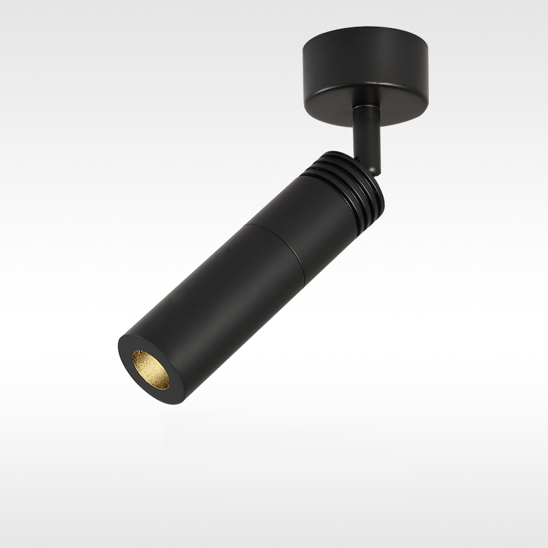 Mini Tập Trung Các Điểm Đèn Le - đánh giá và giá Zoom Lighting Kit