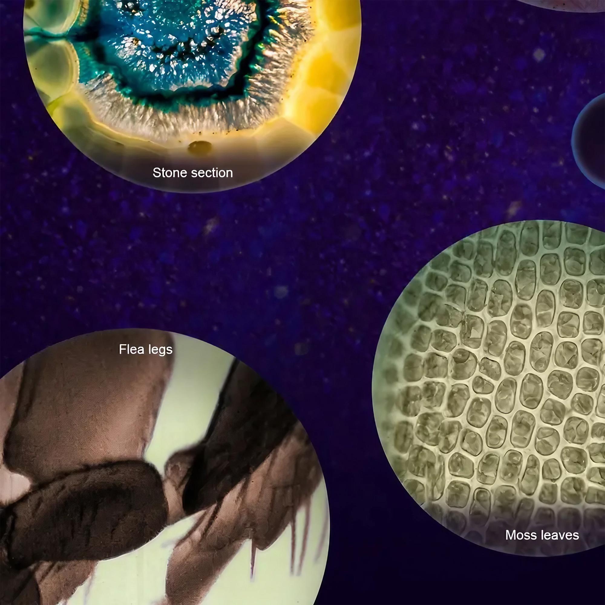 Kids Microscope Pocket Microsc - đánh giá và giá Zoom Lighting Kit